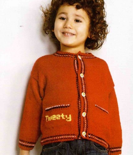 Tweety Desenli Kırmızı Renkli Erkek Çocuk Hırka Modeli