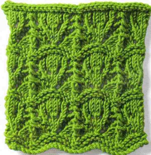 Devedikeni Ajur Örgü Tekniği