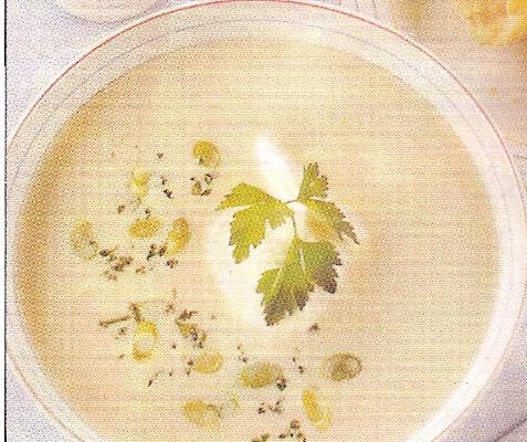 Taze Soğan Çorbası