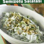 Semizotu Salatası