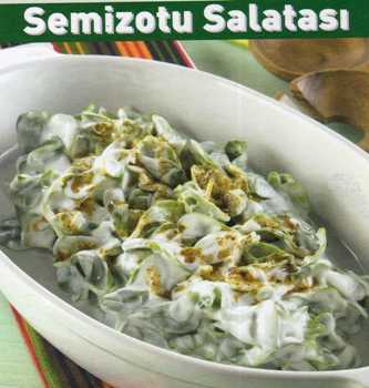 Semizotu Salatası