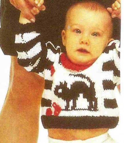 Annesinin Güzel Oğlu İçin Kedili Kazak