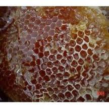 Doğanın bir mücizesi de baldır