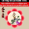 Cin Feng Sui Testi