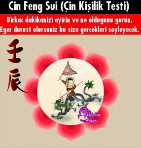 Cin Feng Sui Testi