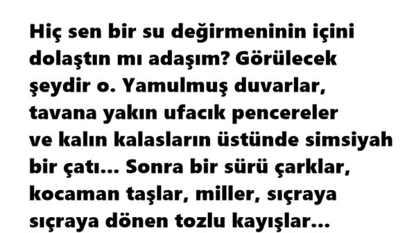 DEĞİRMEN