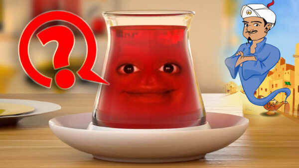 Her şeyi bilen çay bardağı İnanması zor ama aklında tuttuğun her şeyi biliyor