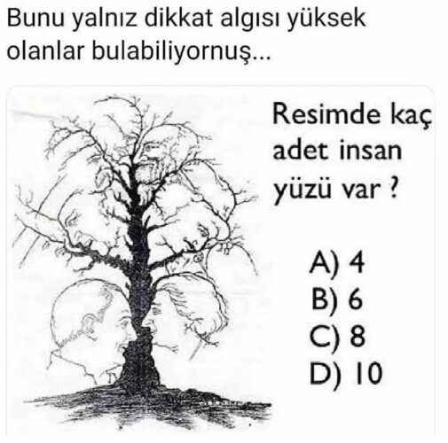 Bu Ağaçta Kaç Tane Yüz Görüyorsunuz?