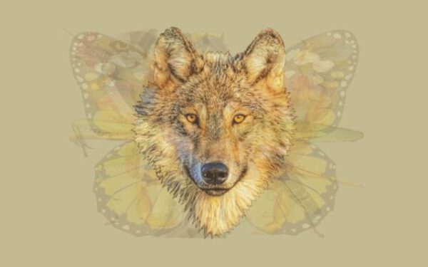 Resimde ilk gördüğünüz hayvan baskın karakterinizi ortaya çıkarıyor Pekii siz ilk önce hangisini gördünüz?