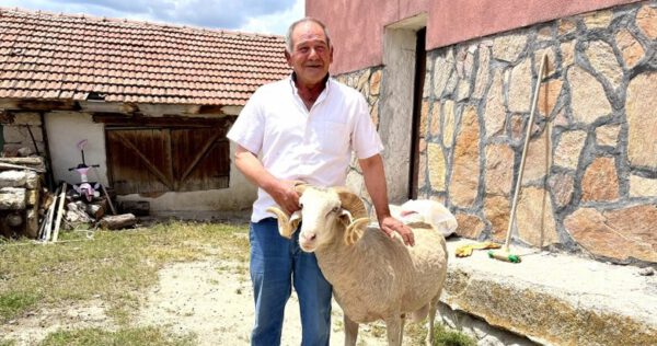 Kütahya’da bir köye satılmıştı! Vefakar koç dağı taşı aşıp eski sahibine geldi