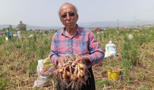Satamadığı ürünü bedava yaptı, 3 bin kişi tarlaya akın etti!